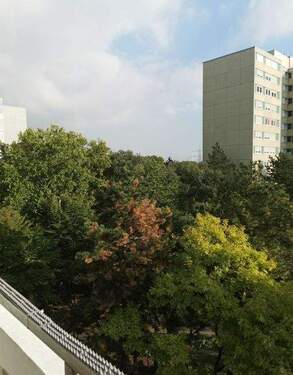 Blick aus dem Balkon - 