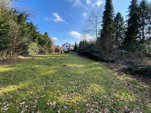 Blick auf das Grundstück (1) - Sonniges großzügiges naturnahes Grundstück mit Blockhütte !