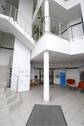 Eingangsbereich - Büro zur Miete in Hamburg