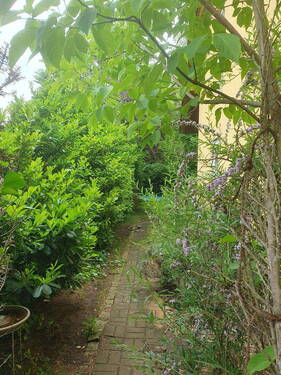 Weg in den hinteren Garten - 