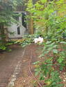Bild 12 - 