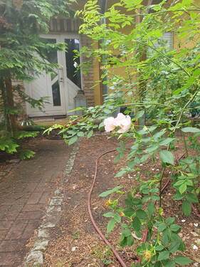 Bild 12 - 