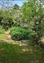 der hintere Garten - 