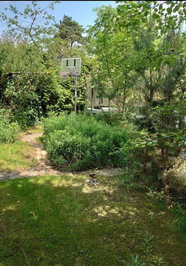 der hintere Garten - 