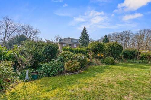 Blick in den Garten - 