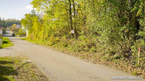 BP - Vorderansicht - 