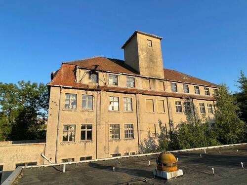 Oberer Kopfbau (1) - 