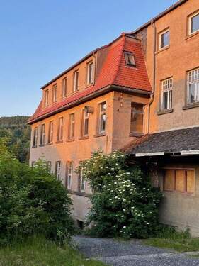 Unterer Kopfbau (1) - 