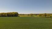 Feldrandlage - 
