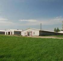 Großzügige Halle mit separatem Büro! Die ideale Lagerfläche in ländlicher Umgebung - Klipphausen Sora