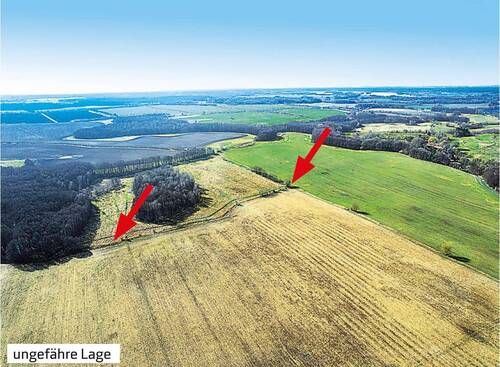 11_1 - Grundstücke in 18292 Kuchelmi? OT Serrahn