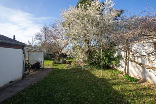 Garten; Blick Richtung Norden - 