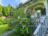 IMG20240717190819 - 3 Zimmer Einfamilienhaus in Pegnitz
