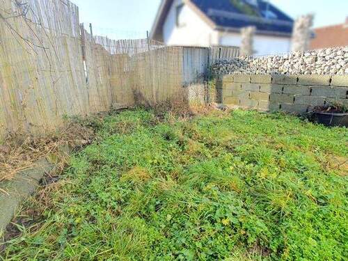 Garten (hinter dem Haus) - 