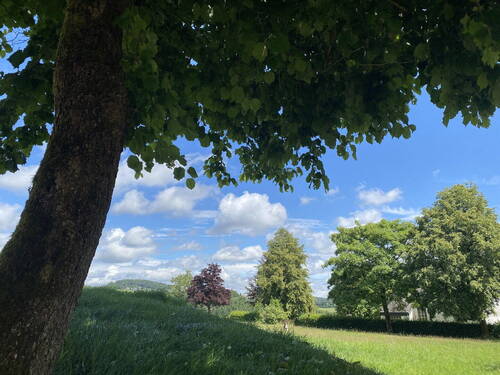 Blick seitlich 1 - 73 m² - Effizienzhaus - Erstbezug - Balkon - Aufzug - Sauna - Luftkurort - Rothaargebirge