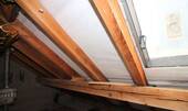 IMG_6004.JPG - 