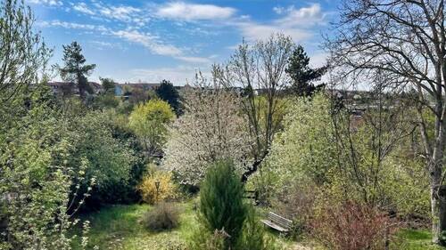 Garten - 5 Zimmer Mehrfamilienhaus, Wohnhaus in Weißenfels