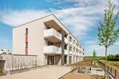Apfelgärten - 