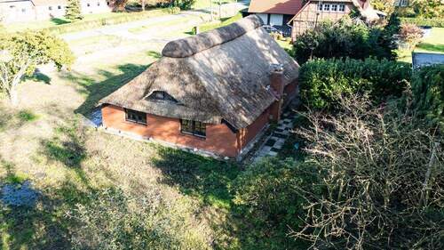 Hingucker der Zuwendung benötigt - 