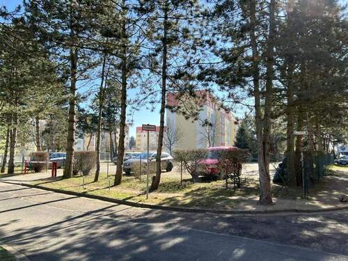 Bild 2 - 4 Zimmer Etagenwohnung zur Miete in Bad Düben