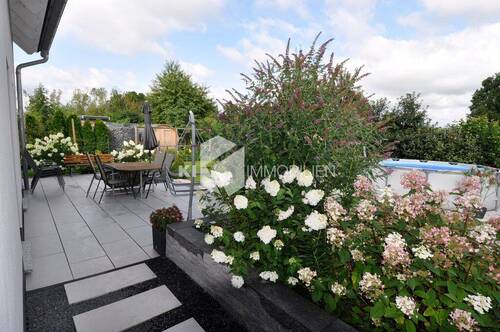 Blick auf Terrasse und Pool - 5 Zimmer Einfamilienhaus zum Kaufen in Borna