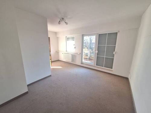 Zimmer - 