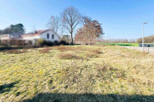 Grundstückblick auf Feld - Exklusive Feldrandlage: 770 m² Grundstück in ruhiger Sackgasse von Schwülper