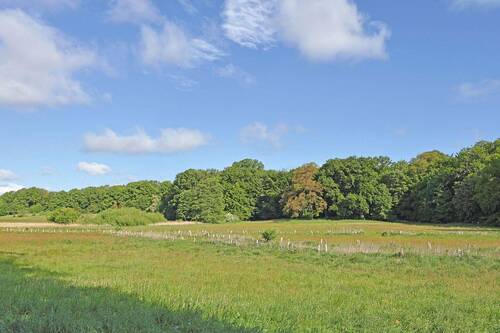Leben im Grünen: Sasel und Volksdorf - 