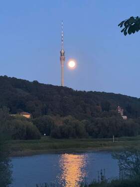 Wohnen in direkter Elbnähe - Reihenhaus in Elbnähe! 4 Zimmer mit Terrasse