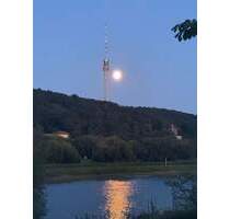 Reihenhaus in Elbnähe! 4 Zimmer mit Terrasse - Dresden Blasewitz