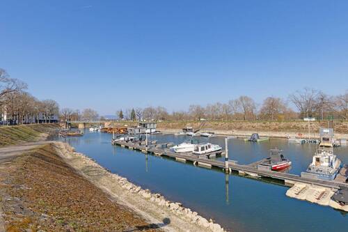 ...in direkter Rheinlage - 