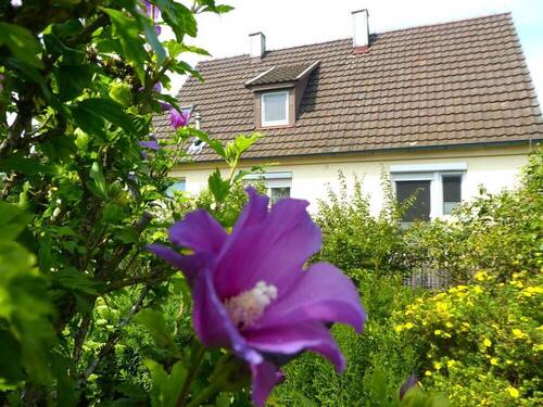 Südansicht - 5 Zimmer Einfamilienhaus in Bietigheim-Bissingen