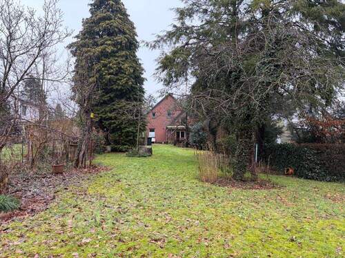 Garten mit Blick zum Haus (3) - 