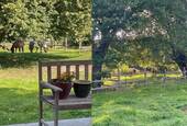 Terrassenausblick - 