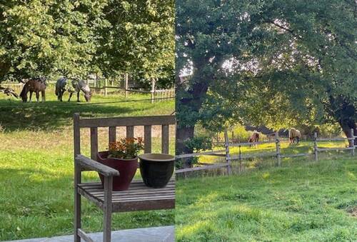 Terrassenausblick - 