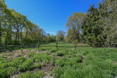 Weide - 
