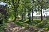Wanderweg direkt vor der Tür - 