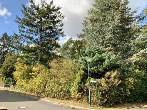 Eckgrundstück - Grundstück zum Kaufen in Borgsdorf