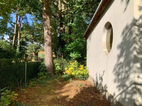 Baumbestand - Grundstück in Borgsdorf zum Kaufen