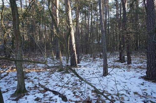 Grundstück vorne (1).jpg - 