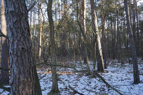 Grundstück vorne (2).jpg - 