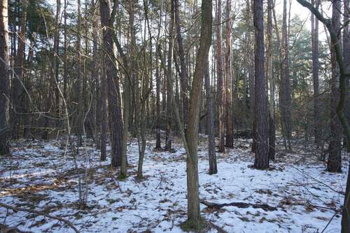 Grundstück vorne (7).jpg - 