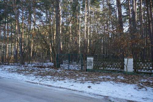 Am Grundstück Straßenseite (1).jpg - Ein großes teilbares Baugrundstück in Borkwalde bei Potsdam