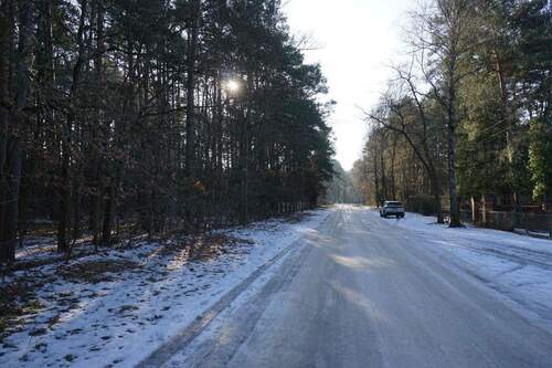 Am Grundstück Straßenseite (4).jpg - Grundstück in Borkwalde zum Kaufen