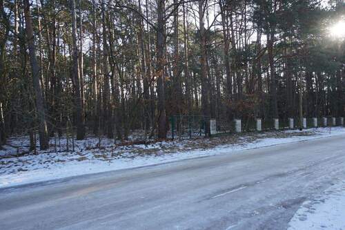 Am Grundstück Straßenseite (5).jpg - 