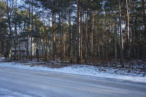 Am Grundstück Straßenseite (7).jpg - 