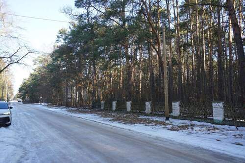 Am Grundstück Straßenseite (9).jpg - 