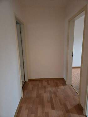 20260210_080752.jpg - 