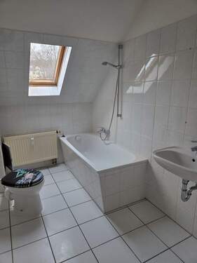 20260210_080740.jpg - 