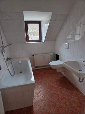 20260210_080851.jpg - 